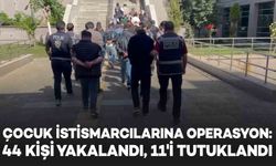 Batman merkezli 12 ilde çocuk istismarcılarına operasyon!