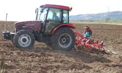 Çiftçilerin kavun ve karpuz mesaisi: Sabah 4’te tarlaya gidiyorlar