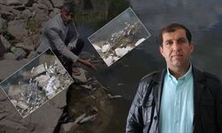 Dicle Nehri’nde su canlıları yok oluyor: Uzmanlardan “can suyu” çağrısı