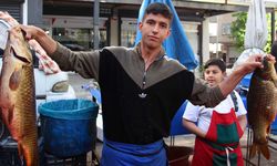 Diyarbakır’da balık tezgahlarda kaldı: Fiyatı çok uygun!
