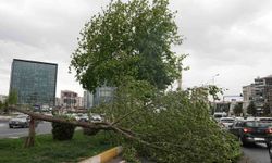 Meteorolojiden Diyarbakır ve çevre illere kuvvetli rüzgar uyarısı