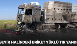 Diyarbakır'da seyir halindeki briket yüklü TIR yandı