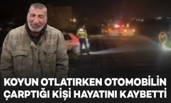 Koyun otlatırken otomobil çarpması sonucu hayatını kaybetti