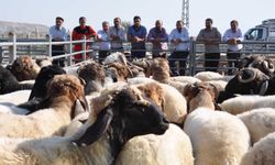 Kurban Bayramı Tatili Uzatıldı Mı? Resmî Açıklama Geldi