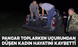 Pancar toplarken uçurumdaki kayalıklardan düşen kadın öldü