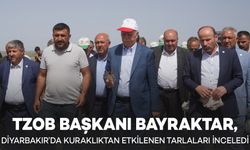 TZOB Başkanı Bayraktar, Diyarbakır’da kuraklıktan etkilenen tarlaları inceledi