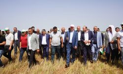DİYARBAKIR: TZOB Genel Başkanı Bayraktar: Kuraklık nedeniyle zarar yüzde 100’lere dayanmış durumda!