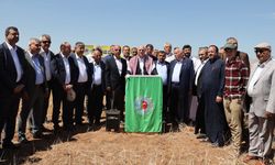 TZOB Genel Başkanı Bayraktar, Şanlıurfa ve Mardin'de incelemelerde bulundu
