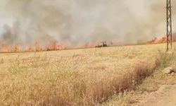 Buğday Tarlasında Yangın: 40 Dönüm Küle Döndü