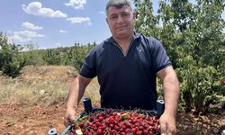 Mardin'de 17. Napolyon Kirazı Festivali Coşkusu