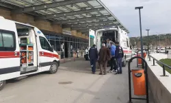 Kene Alarmı: 3 Kişinin Tedavisi Devam Ediyor