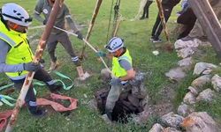 Kuyuya Düşen Dana Ekipler Tarafından Kurtarıldı