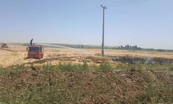 Bismil’de buğday tarlasından yangın