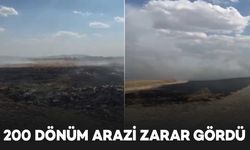 Diyarbakır’da çıkan yangında 200 dönüm arazi zarar gördü