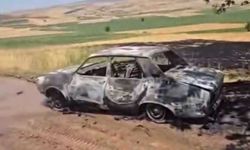 Diyarbakır’da tarla ve otomobil yandı