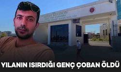 Diyarbakır’da yılan tarafından ısırılan çoban, hayatını kaybetti