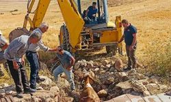 Kuyuya Düşen İnek Belediye Ekiplerince Kurtarıldı