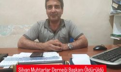 Silvan Muhtarlar Dernek Başkanı, silahlı saldırıda öldü