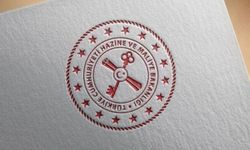Hazine ve Maliye Bakanlığı'ndan "vergi affı" iddialarına yalanlama