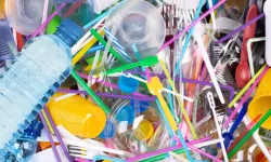 356 Bin Kişinin Ölümünde Plastik Kimyasalların Rolü Olabilir