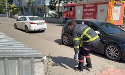 Tavan Arasında Can Pazarı: Kedi Sağ Salim Kurtarıldı