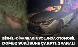Bismil-Diyarbakır yolunda otomobil domuz sürüsüne çarptı: 2 yaralı