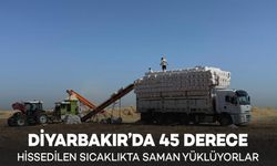 Diyarbakır’da 45 Derece Hissedilen Sıcak Havada Saman Yüklüyorlar