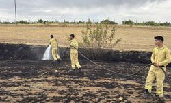 Diyarbakır'ın 3 ilçesinde çıkan yangınlar söndürüldü