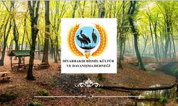 İSTANBUL' DA BİSMİLLİLER BULUŞMASI YAPILACAK