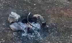 İhmalkârlık Yine Tehlike Yarattı!