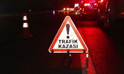 Mardin’de hafif ticari aracın çarptığı 69 yaşındaki adam, hayatını kaybetti