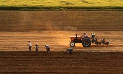 Tarıma yeni teşvik paketi