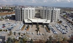 Şanlıurfa’da Bahar Alerjilerine Karşı Uyarı: Uzmanlardan Önemli Tavsiyeler