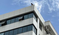 Binanın Tepesinden Atlamak İstedi: İkna Edilerek İndirildi