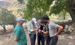 Beytüşşebap Yaylalarında Hayvanlara Sağlık Kontrolü Yapıldı