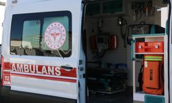 Şanlıurfa’da Başıboş Köpek Saldırısına Uğrayan Çocuk Hastaneye Kaldırıldı