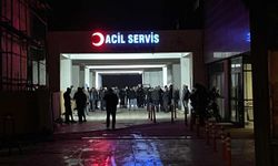 Otomobil Çarptı, Küçük Kız Hayatını Kaybetti
