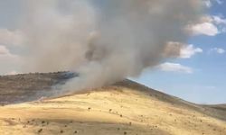 Diyarbakır'da Bin Dönüm Buğday, Arpa ve Mercimek Alanı Yandı