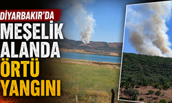 Diyarbakır'da Meşelik Alanda Örtü Yangını