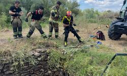 Diyarbakır Kuyuya Düşen Yaban Domuzu Kurtarıldı