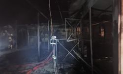 Alevler At Çiftliğini Sardı: 3 At Telef Oldu