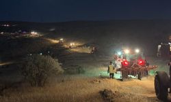 Arazi Yangını İtfaiye ve Çiftçilerin Müdahalesiyle Kontrol Altına Alındı