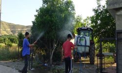 Bağ Ve Bahçelerde İlaçlama Mesaisi Başladı