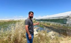 Balpınar’da Sağanak ve Baraj Suları Tarım Arazilerini Yuttu