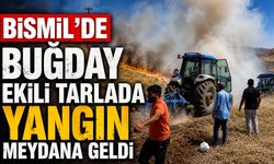 Bismil'de Buğday Ekili Tarlada Yangın Meydana Geldi