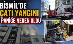 Bismil'de Çatı Yangını Paniğe Neden Oldu