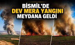 Bismil'de Merada Yangın Meydana Geldi