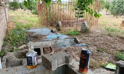Bismil’de Mezarlıklarda Alkol Tepkisi: Vatandaşlar Duruma İsyan Etti