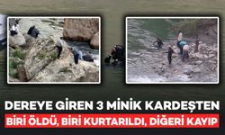 Dereye Giren 3 Minik Kardeşten Biri Hayatını Kaybetti, Diğeri Kayıp