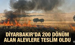 Diyarbakır’da 200 Dönüm Alan Alevlere Teslim Oldu